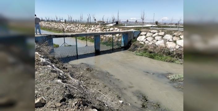 İnci kefalinin kutsal göçü için dev operasyon: Van dereleri temizleniyor!