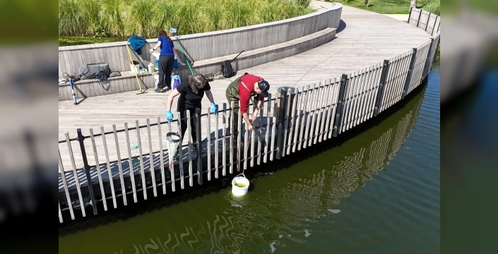 İzmit Millet Bahçesi'nde su göletine bilimsel çalışma başlatıldı