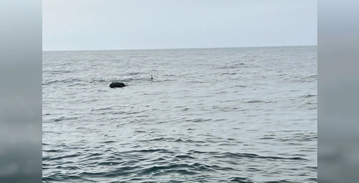 Karadeniz'de dehşet saçan mayın SAS timlerinden temizlendi: İşte o an!