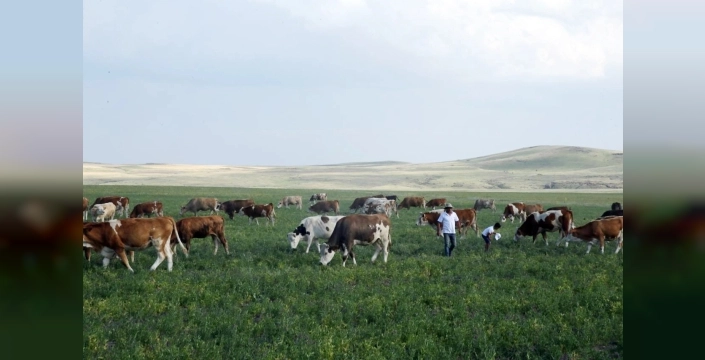 Kars Ani'de meralar yasaklandı iddialarına yanıt geldi