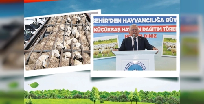 Kayseri'de 'Koyunlar Artıyor, Meralar Şenleniyor' projesiyle küçükbaş hayvan sayısı 150 bini aştı