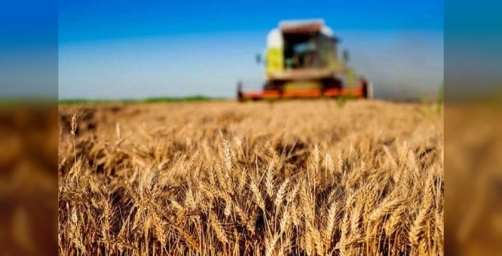 Kırsal kalkınmaya dev destek: Tarım ve Orman Bakanlığı'ndan 30 milyon TL'ye varan hibe müjdesi!