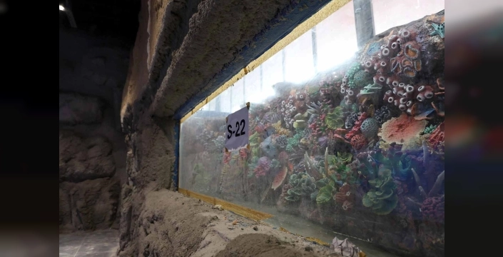 Kocaeli'de akvaryum projesi için geri sayım başladı: 30 eşsiz akvaryum bekliyor