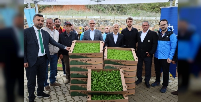 Kocaeli'de çiftçilere yüzde 75 hibeli sebze fidesi desteği