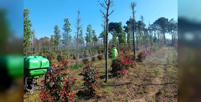 Kocaeli'de fidanların sağlığı için insektisit uygulaması başlatıldı