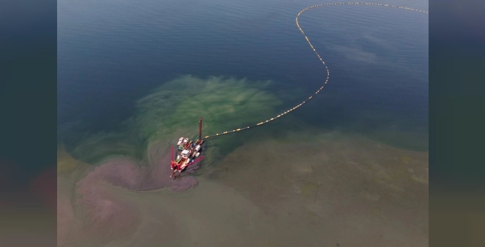 Kocaeli'nin çevre projesi, deniz canlılarını yeniden canlandırdı