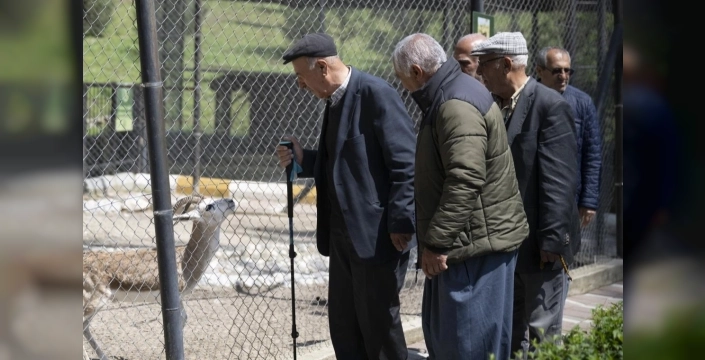 Mersin Büyükşehir, emeklileri doğayla buluşturacak etkinlikler düzenliyor