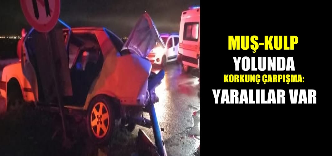 Muş-Kulp yolunda korkunç çarpışma: Yaralılar var
