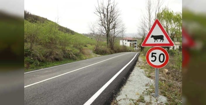 Ordu'da yolların güvenliği artıyor: Yeni düzenlemeler hayata geçirildi