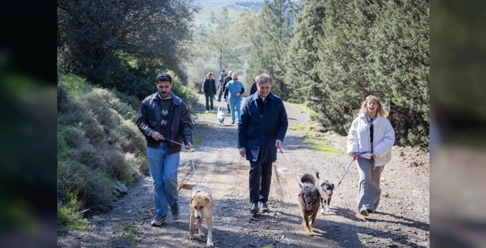 Sokak hayvanlarına yuva arayışı: İzmir'den 'Satın Alma, Sahiplen' çağrısı