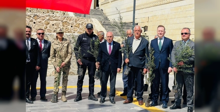 Yeşilli'de rekor fidan dağıtımı: 102 bin fidan çiftçilere ulaştı