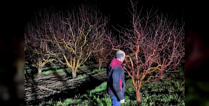 Zirai Don Tehlikesi Kapıda: Ekipler Üreticilere Destek İçin Sahada!