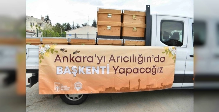 Ankara'da arıcılık atağı: 5 bin kovanla kırsal kalkınma destekleniyor