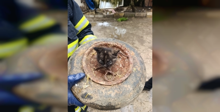 Elazığ'da minik cana uzanan şefkat eli: Janta sıkışan kedi yavrusu kurtarıldı!