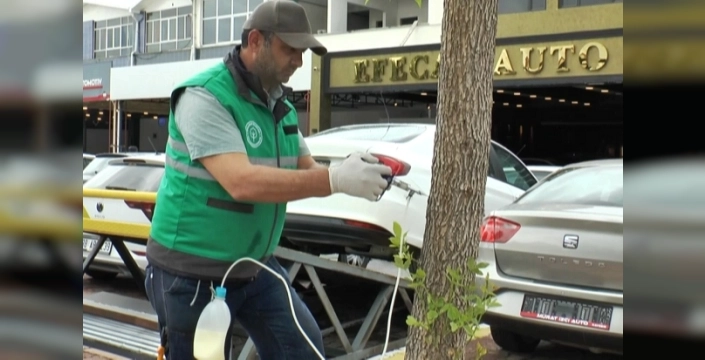Kayseri Kocasinan'da ağaçlar için modern koruma yöntemi devrede