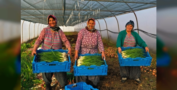 Kocaeli'de seracılık projeleriyle çiftçilerin yüzü gülecek