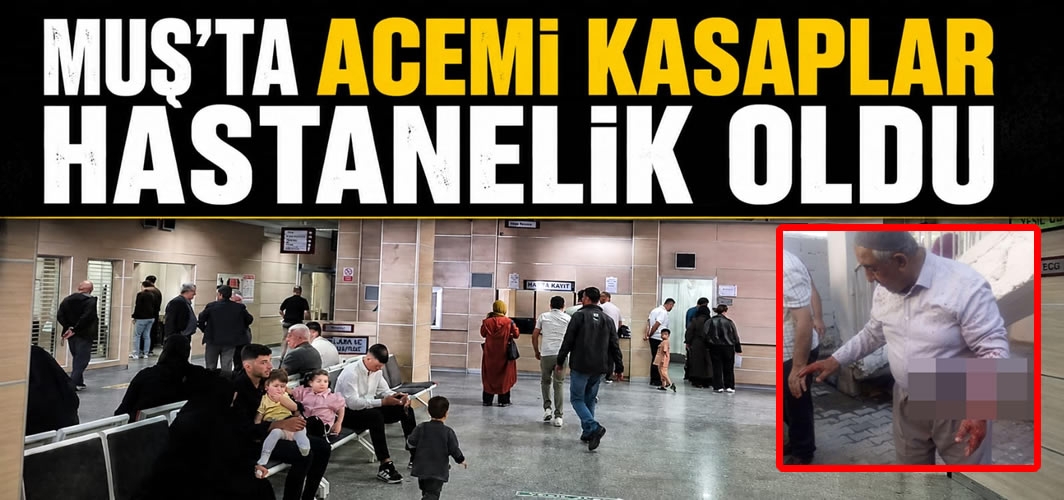 Kurban Bayramı’nda Acemi Kasaplar Hastanelik Oldu