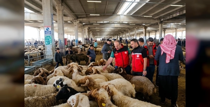 Kurban bayramı öncesi 81 ilde sıkı denetimler başladı
