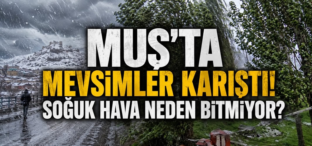 Mayıs Bitiyor, Kış Gitmiyor! İşte Sebebi