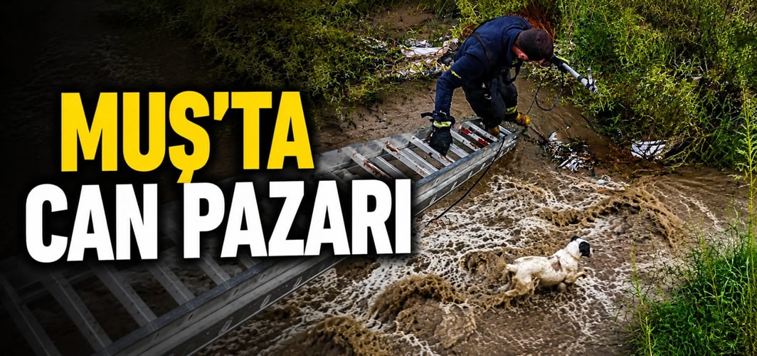 Muş'ta Can Pazarı