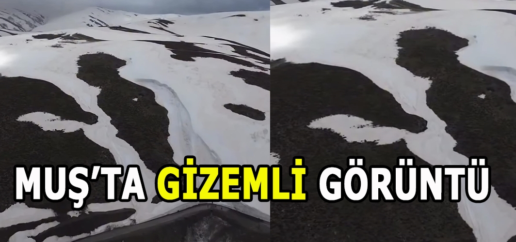 Muş’ta gizemli görüntü! Herkesi şaşırttı