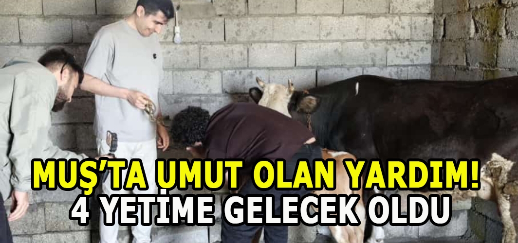 Muş’ta Umut Olan Yardım! 4 Yetime Gelecek Oldu