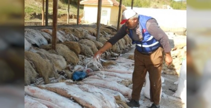 THK Keşan, kurban derisi toplama geleneğine 2026'da nokta koyuyor