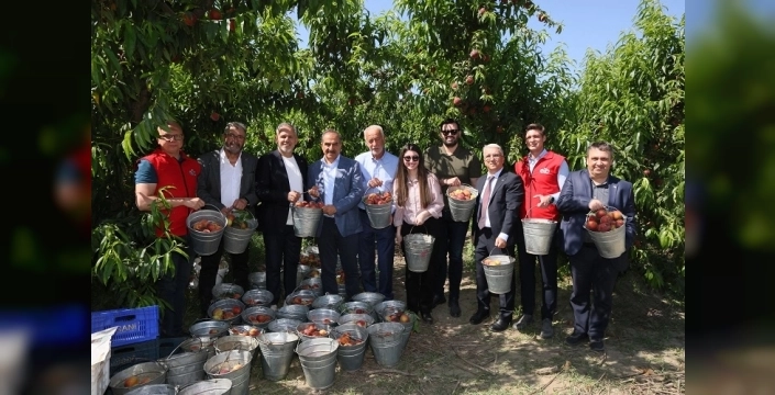 Türkiye, şeftali ve nektarinde 250 milyon dolar ihracat hedefliyor