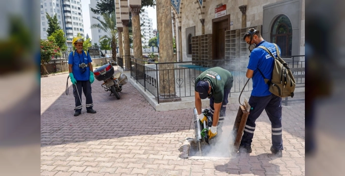 Antalya'da sivrisinek ve haşereye karşı seferberlik: Camiler