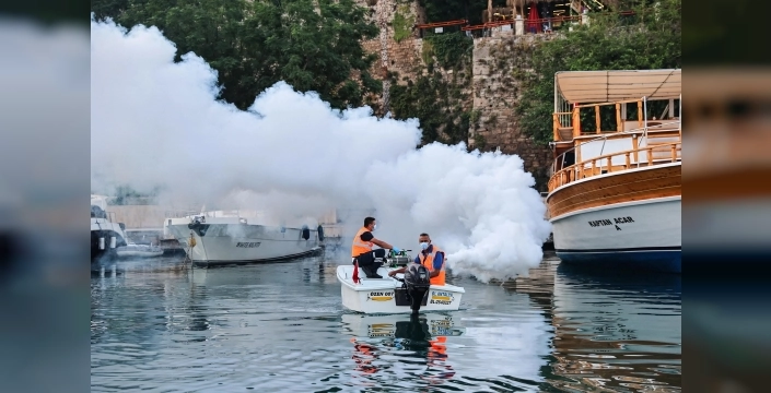 Antalya sahilleri sinek tehdidine karşı karadan ve denizden ilaçlanıyor