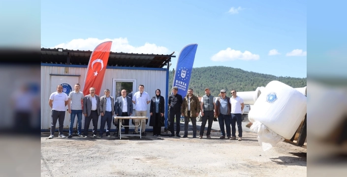 Bursa'da üreticilere müjde: Büyükbaş hayvan yetiştiricilerine yem desteği
