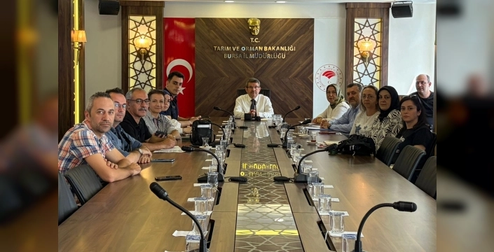 Bursa siyah inciri için kalite seferberliği başladı