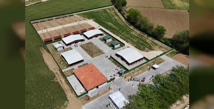 Bursa Yenişehir'de modern hayvan bakımevi açıldı