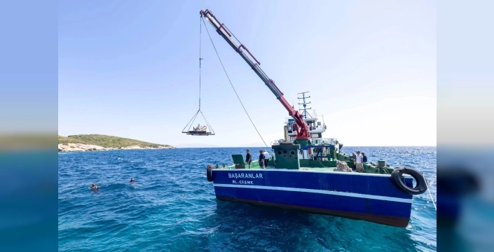 Çöp midye kabukları şimdi deniz canlılarına yuva oluyor: İzmir'den umut veren proje