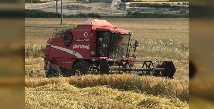 Edirne Keşan'da ilk arpa hasadı başladı, çiftçiler