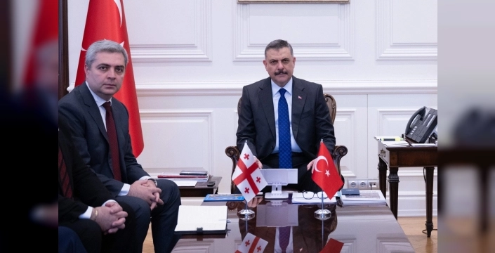 İçişleri Bakanlığı'nda Türkiye ve Gürcistan arasında önemli görüşme