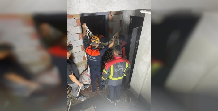 İnşaatın derinliklerinden gelen çığlıklar: Bingöl'de iki inek kurtarıldı