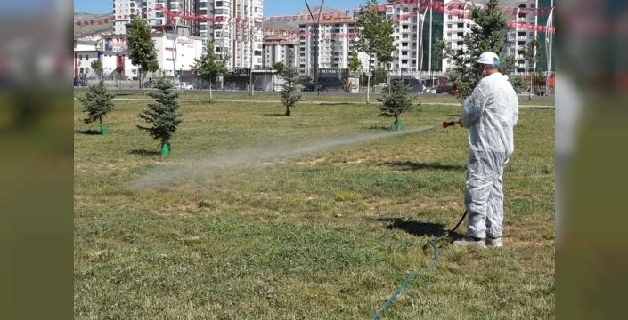 Malatya'da sivrisinek ve karasinekle savaş sürüyor, halk sağlığı öncelik