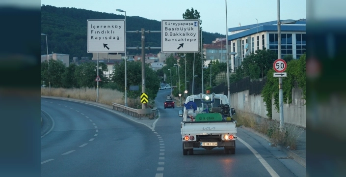 Maltepe'de yaz öncesi sokak ilaçlamaları hız kazandı