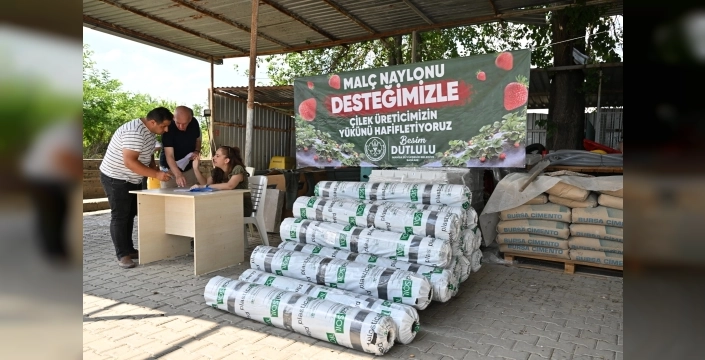 Manisa'da çilek üreticisine bereketli destek: %75 hibe ile maliyetler düşüyor