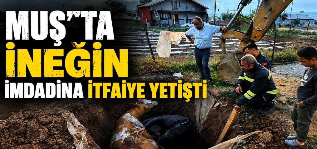 Muş'ta İneğin İmdadına İtfaiye Yetişti