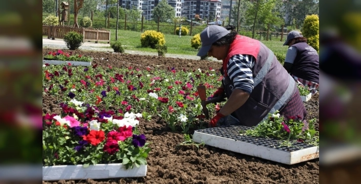 Ordu'da çiçek üretimi, belediyenin bütçesine katkı sağlıyor