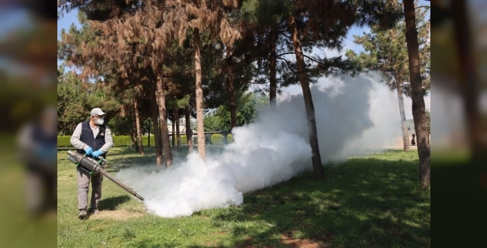 Şanlıurfa'da haşereyle mücadele seferberliği başladı