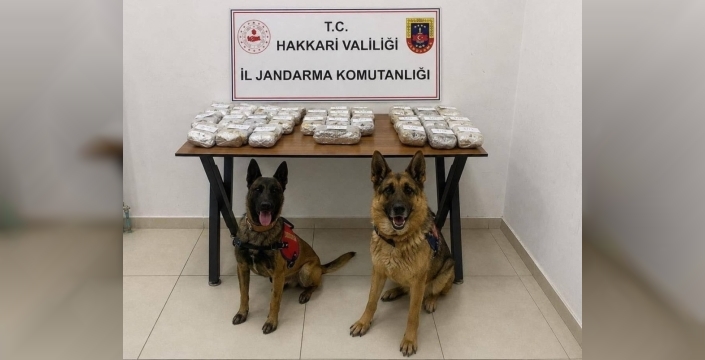 Şemdinli'de nefes kesen operasyon: 21 kilodan fazla esrar yakalandı, 2 kişi gözaltında