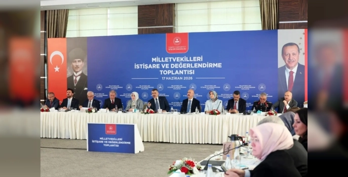 Sokak hayvanları için kritik tarih: Bakan Çiftçi'den sevindiren açıklama!