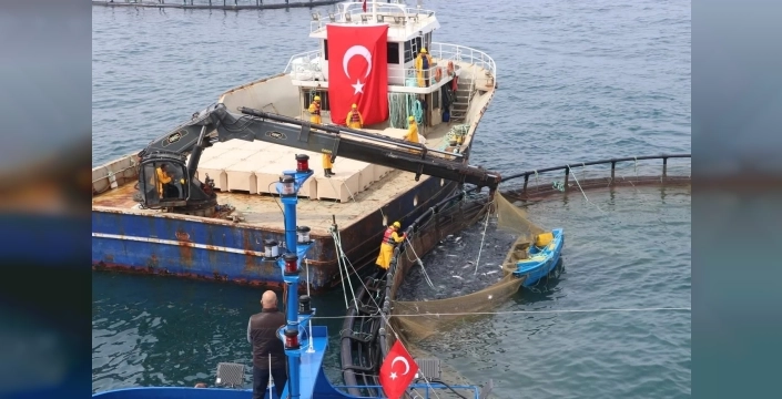 Su ürünleri üretiminde artış, avcılıkta düşüş yaşanıyor
