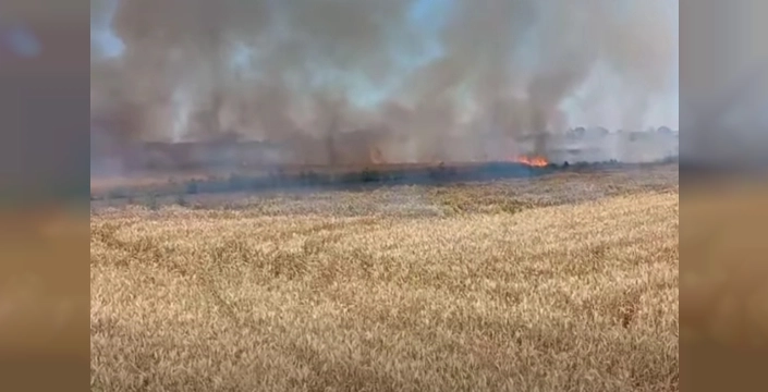 Uzunköprü'de hasat öncesi kabus: 6 dönüm buğday kül oldu