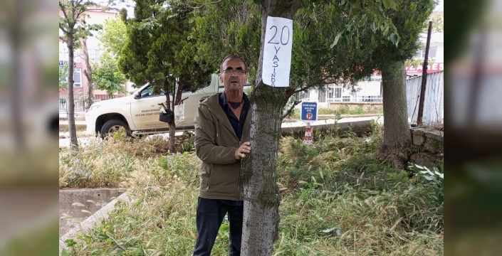 Yıllara meydan okuyan ağaçlara Keşanlı yazarın şef