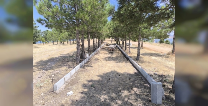 Ağın'da Hurşit Kuş Hatıra Ormanı için yeni projeler hayata geçiriliyor