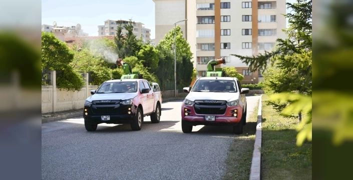 Ankara'da yaz boyunca haşerelere karşı ilaçlama çalışmaları sürüyor